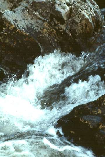 Schottland 1982