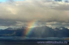 Regenbogen  über Vestvågøy