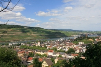 Bingen