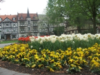 Bad Sooden-Allendorf