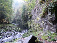 Ringelai: Buchberger Leite