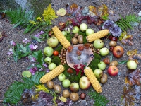 Ringelai: Buchberger Leite