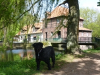 Metelen: Mühlenmuseum