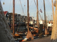 Im Hafen von Urk