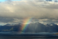 Regenbogen  über Vestvågøy