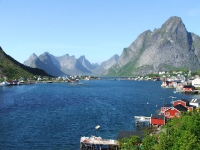 Reine