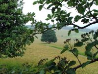 Für größeres Bild bitte klicken!