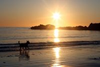 Für größeres Bild bitte klicken!