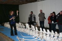 Für größeres Bild bitte klicken!